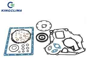 29-70248-00 Gasket Set for Carrier Transicold - KingClima Supply